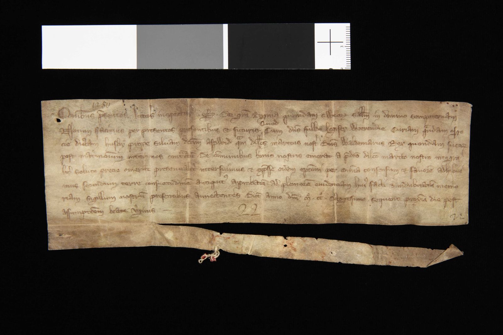 Tidningssida ur Svenskt Diplomatarium, 1280-08-16