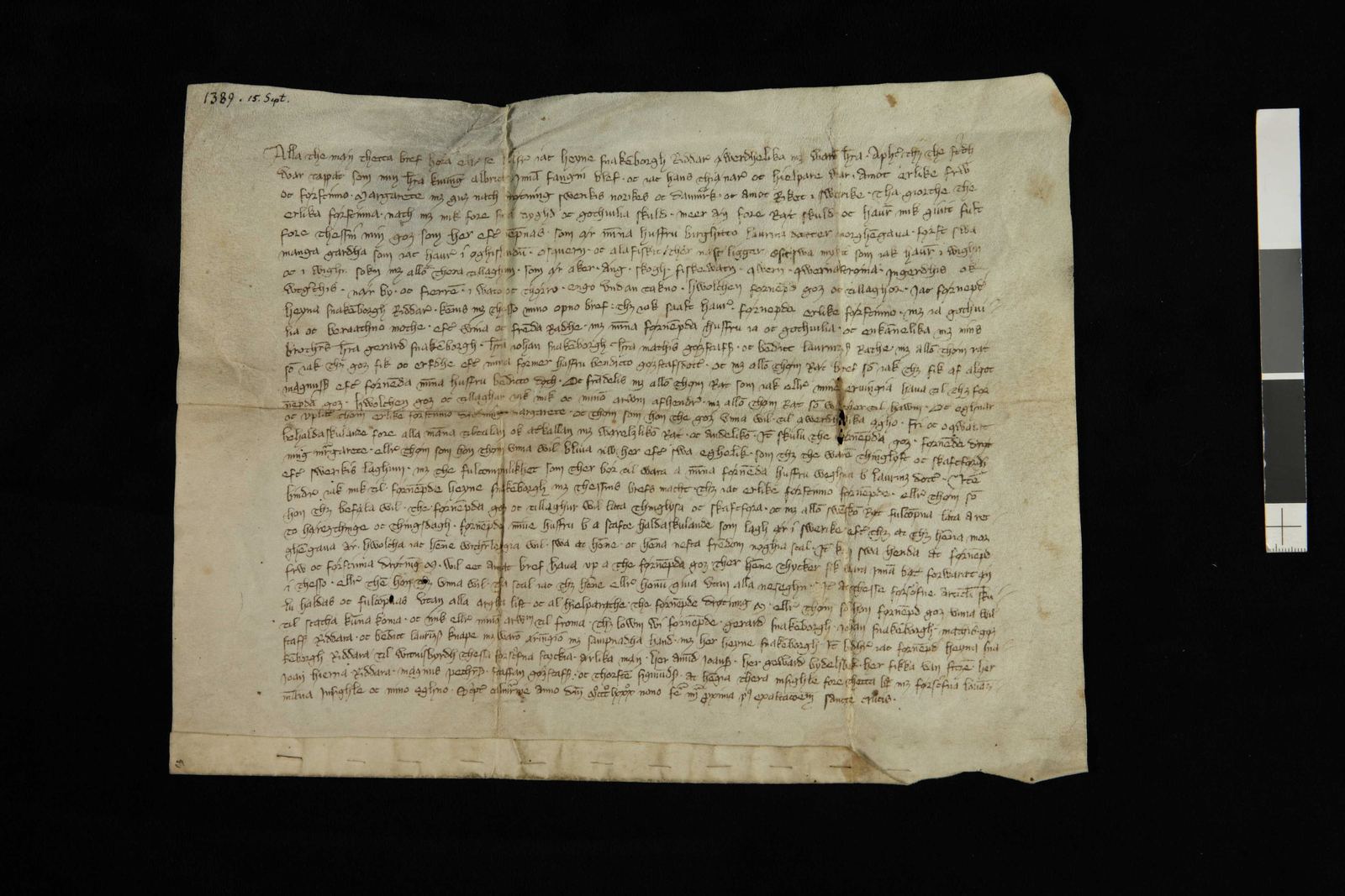 Tidningssida ur Svenskt Diplomatarium, 1389-09-15