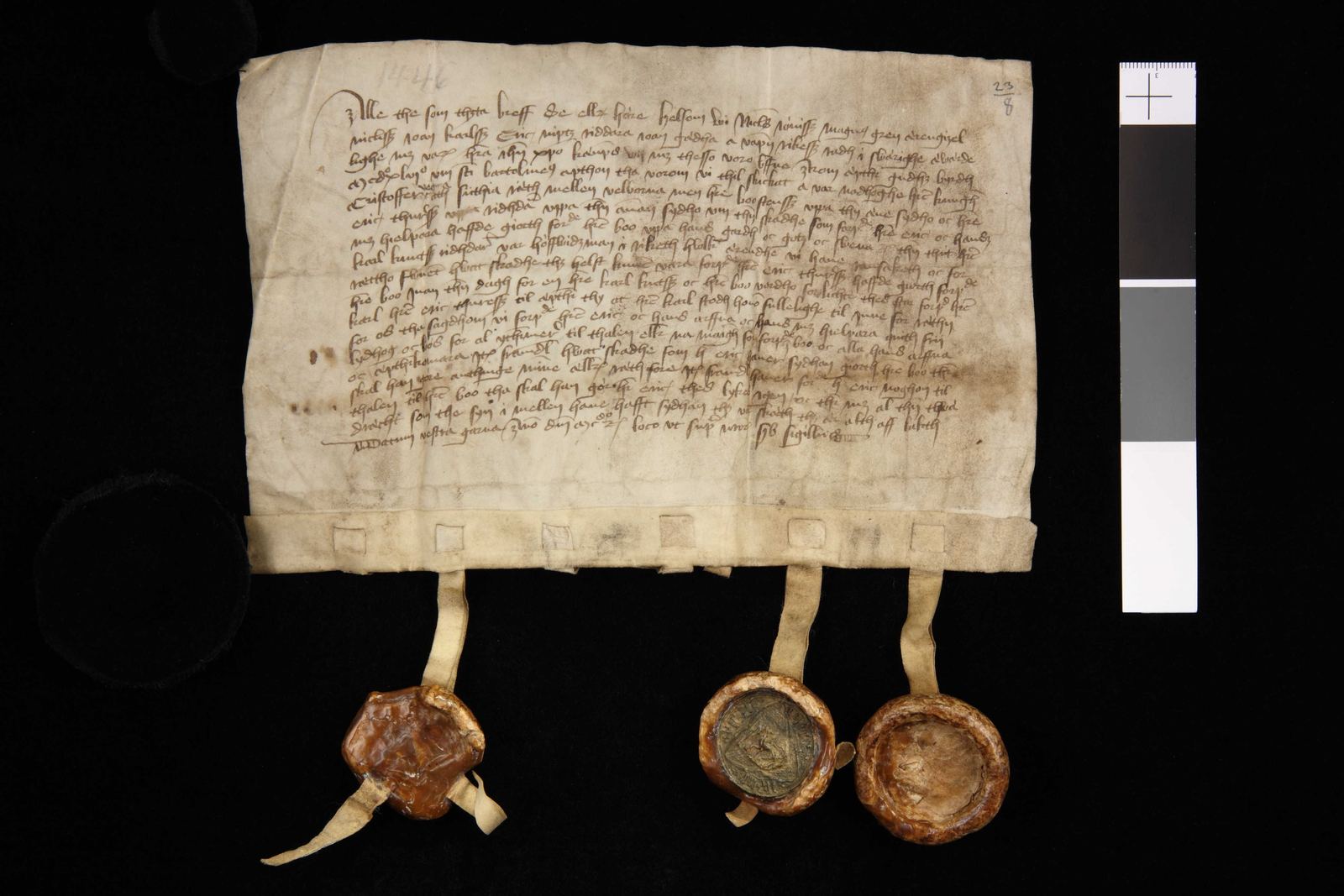 Tidningssida ur Svenskt Diplomatarium, 1446-08-23
