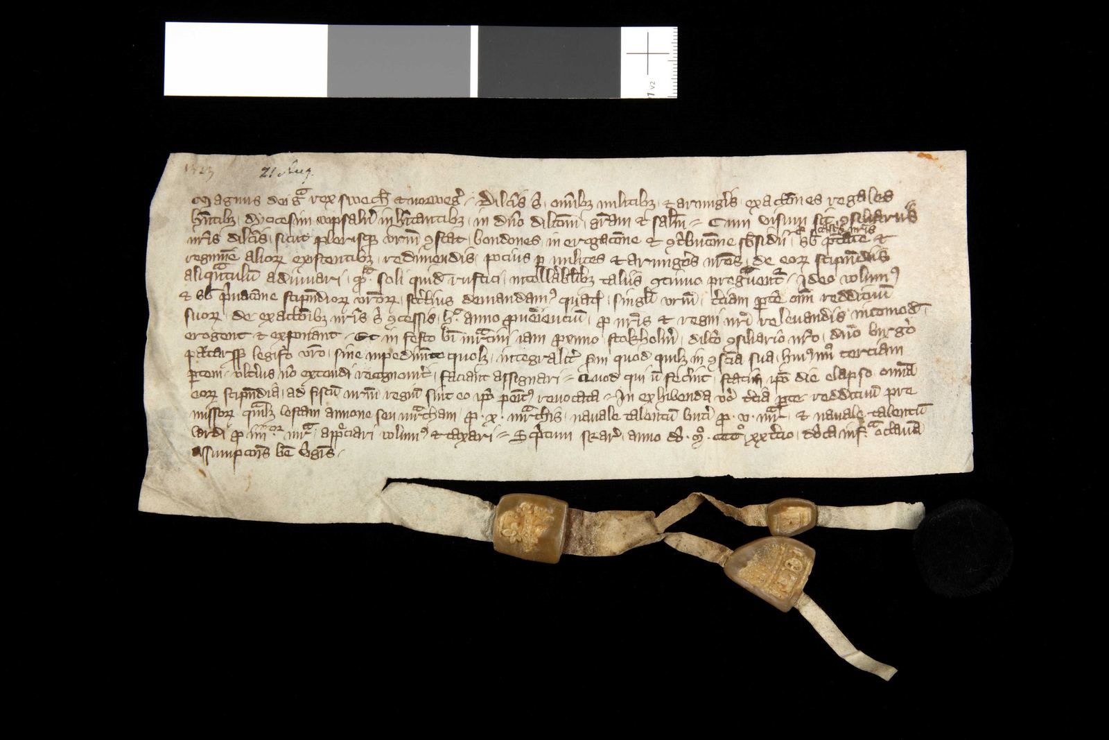 Tidningssida ur Svenskt Diplomatarium, 1323-08-21
